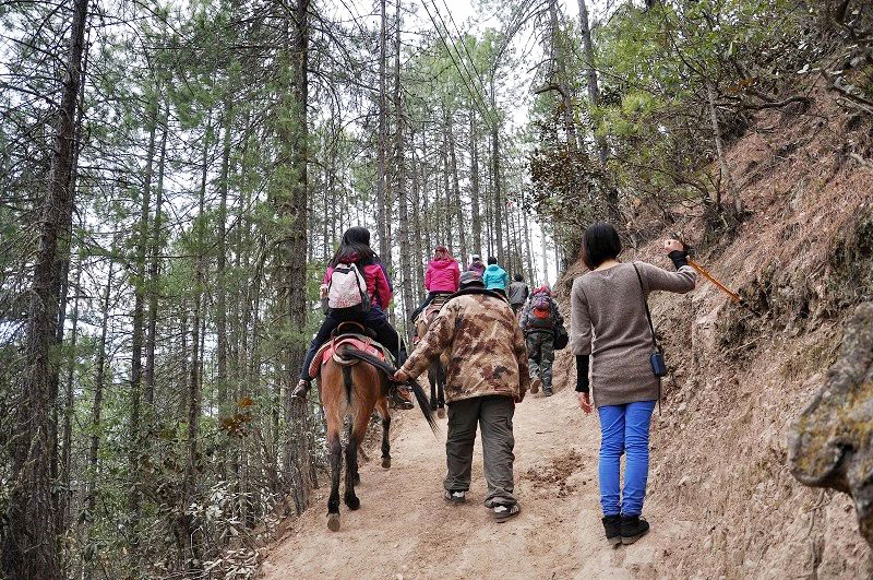 雪山脚下的雨崩村徒步,雨崩村徒步之旅