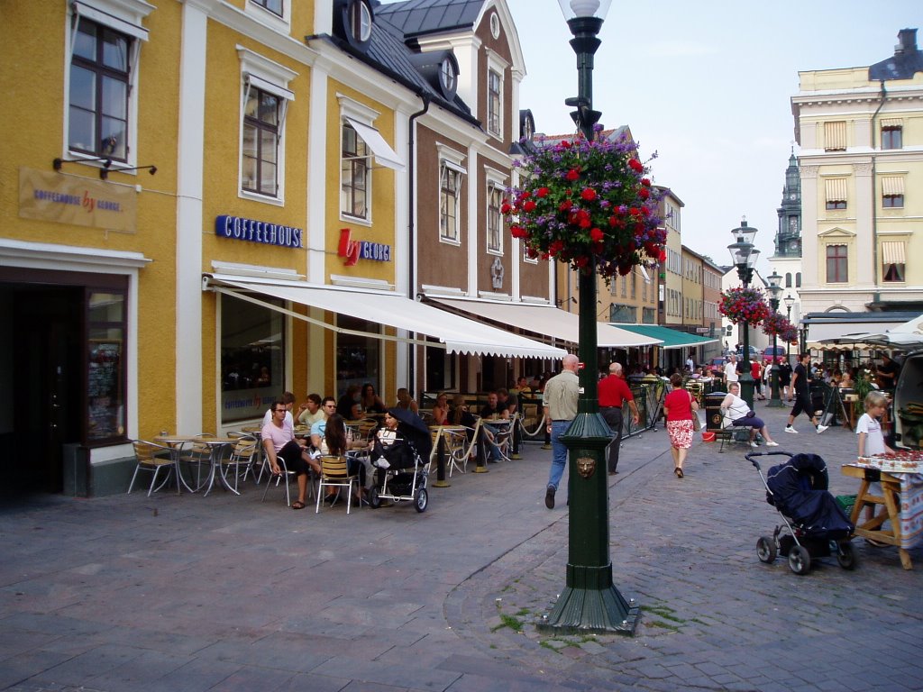 瑞典林雪平大学介绍,瑞典林雪平大学官网