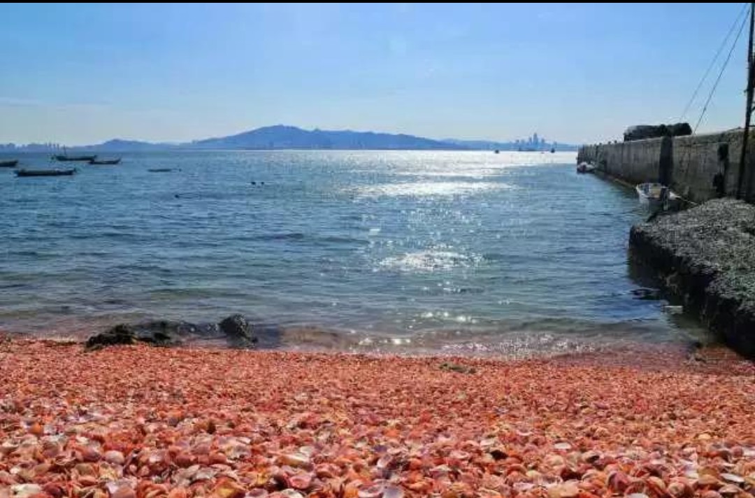 带你走进沭阳的马尔代夫,带你去看来自中国的马尔代夫