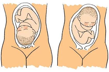 怀孕后，准妈妈们都在关心这些问题