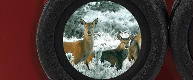 高端大气上档次的新年礼物,春节送礼攻略推荐