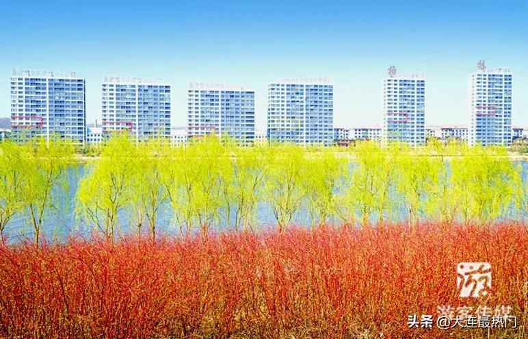 辽宁踏青赏花地点推荐,辽宁春游踏青赏杜鹃花