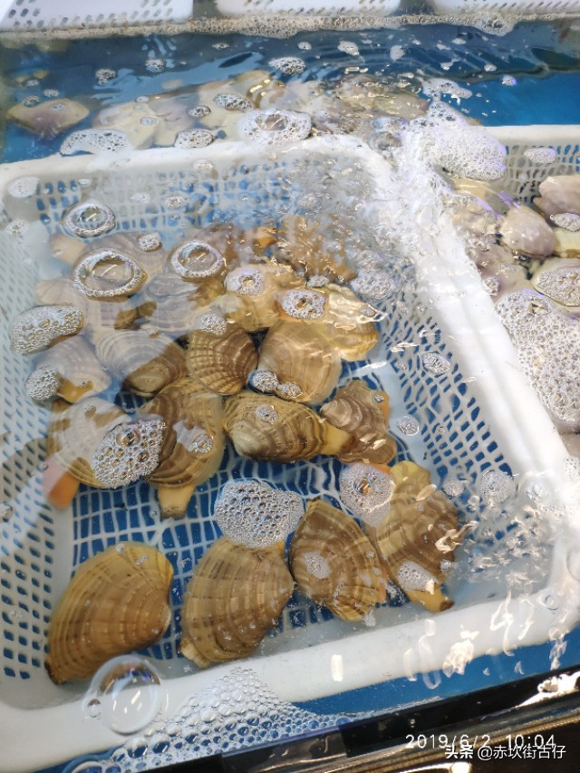 中国海鲜美食之都湛江虾类,中国海鲜美食之都湛江解说