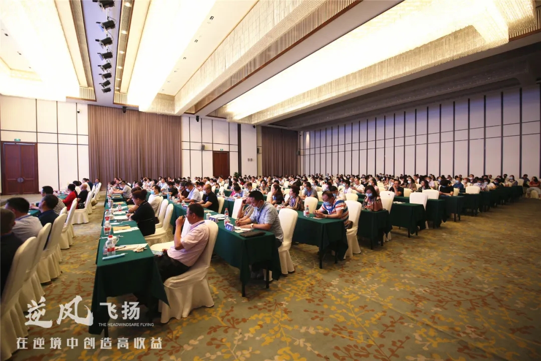 凤凰酒店差点被挤爆了！南充嘉陵这个企业家为啥要放这样的大招？