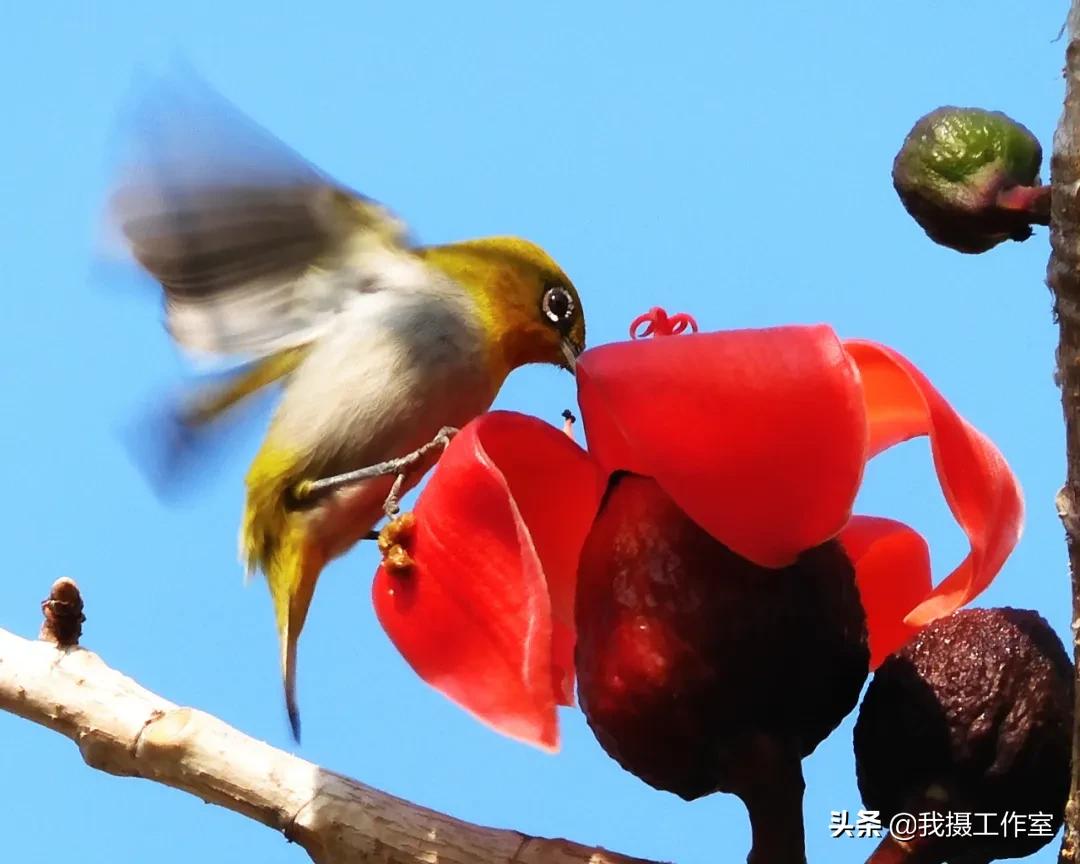 第16届国际摄影艺术展获奖作品,第29届全国摄影艺术展览作品集