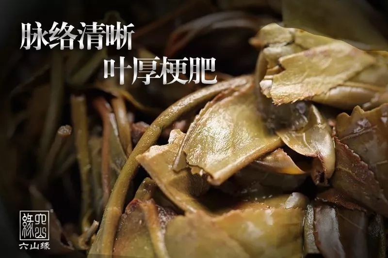 雅而不薄、清而不淡之一一雅韵