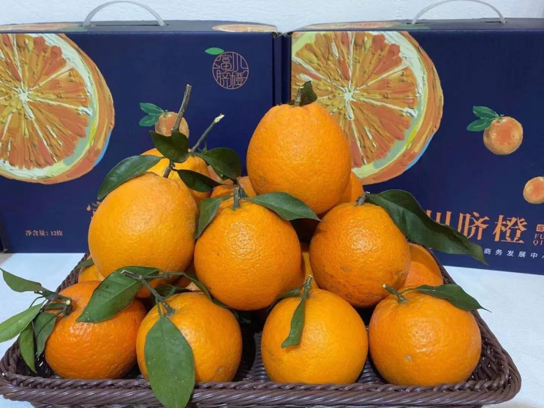 第19届农交会上的这些名特优农产品火了，有你家乡的吗？