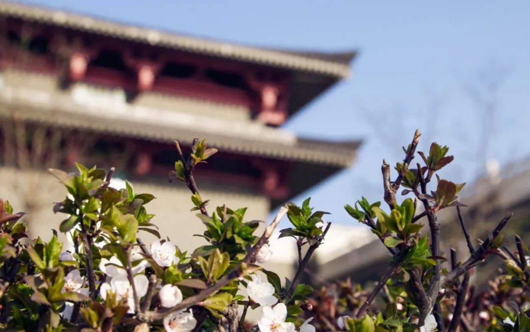 西安建筑科技大学是几本,西安建筑科技大学华清学院