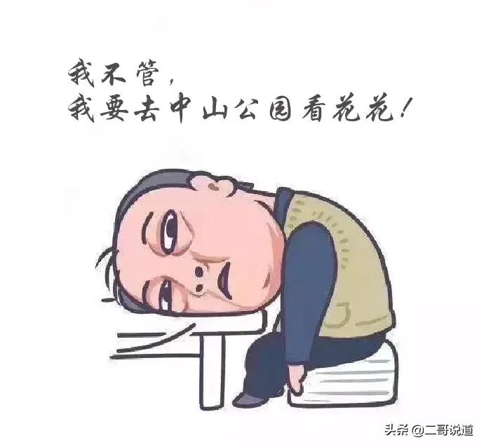 春日青岛游玩攻略,春日出游青岛