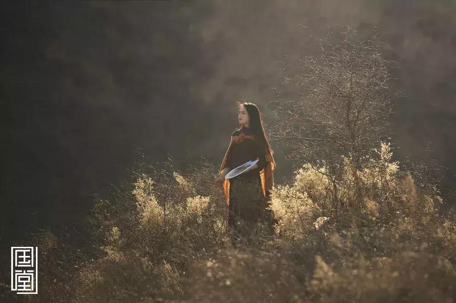 有一种修养叫勿以身贵,有一种修养是熟不逾矩