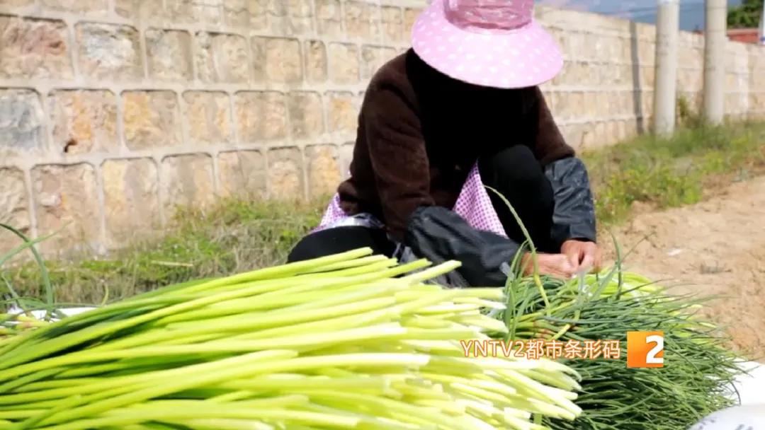 香椿萝卜条,香椿芽蒜薹