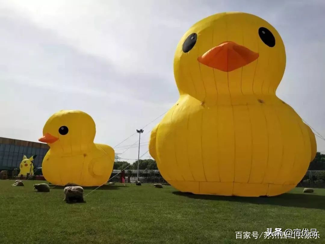 河源市连平县忠信镇大湖花海,太湖花海主题乐园