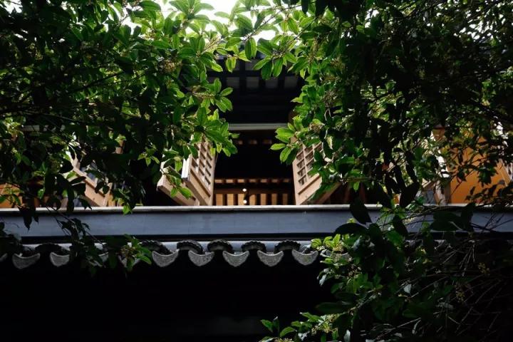 西湖边的传奇山庄，开业登顶“杭州最贵酒店”，旧址重生yyds