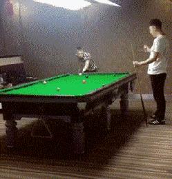 搞笑gif开心一刻单身也挺好,搞笑gif开心视频