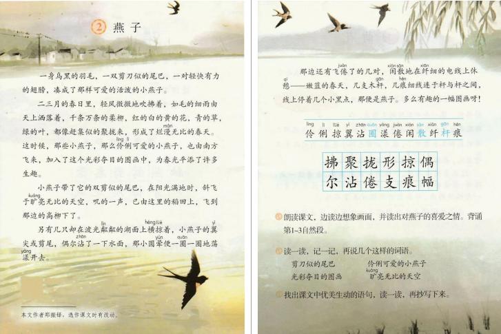 小学语文燕子教师资格证教案,燕子语文教资面试导入语