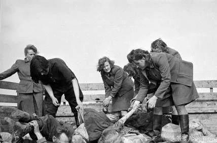 纳粹女魔头女囚,纳粹女魔头杀女囚