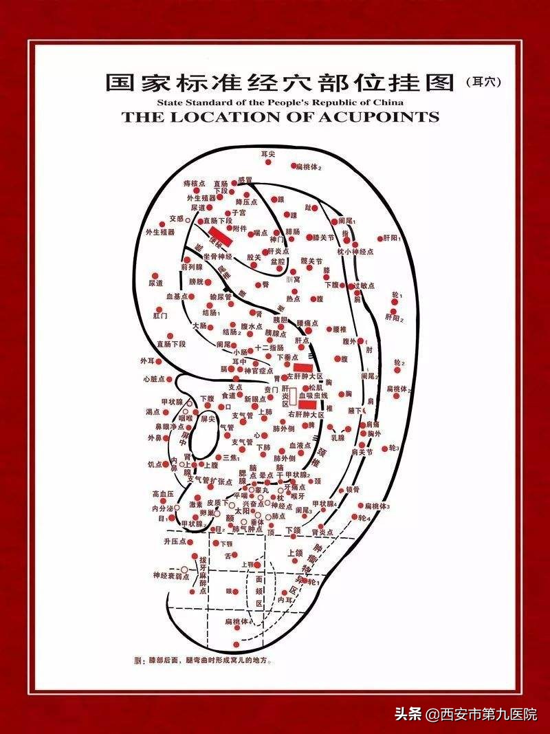 你睡得好吗,你睡得好吗粤语