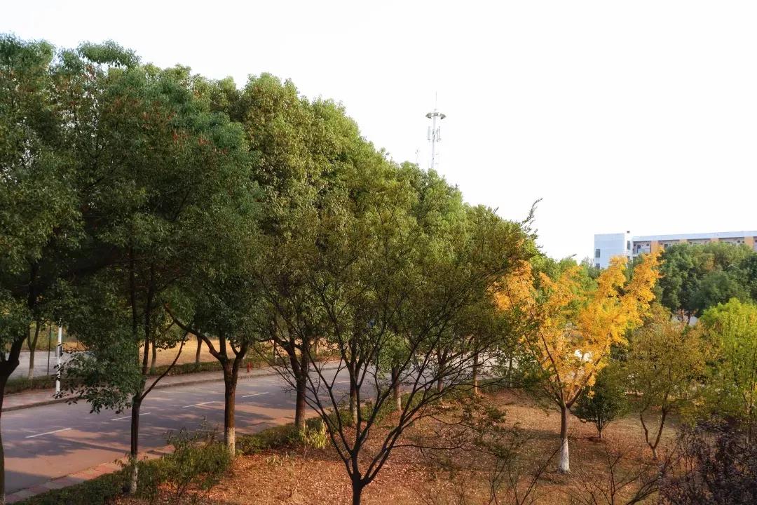 江苏省高校(五十一)南京航空航天大学金城学院