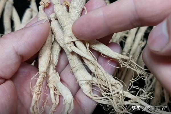 如何辨别人参用硫黄泡过,如何辨别硫磺熏过的药材