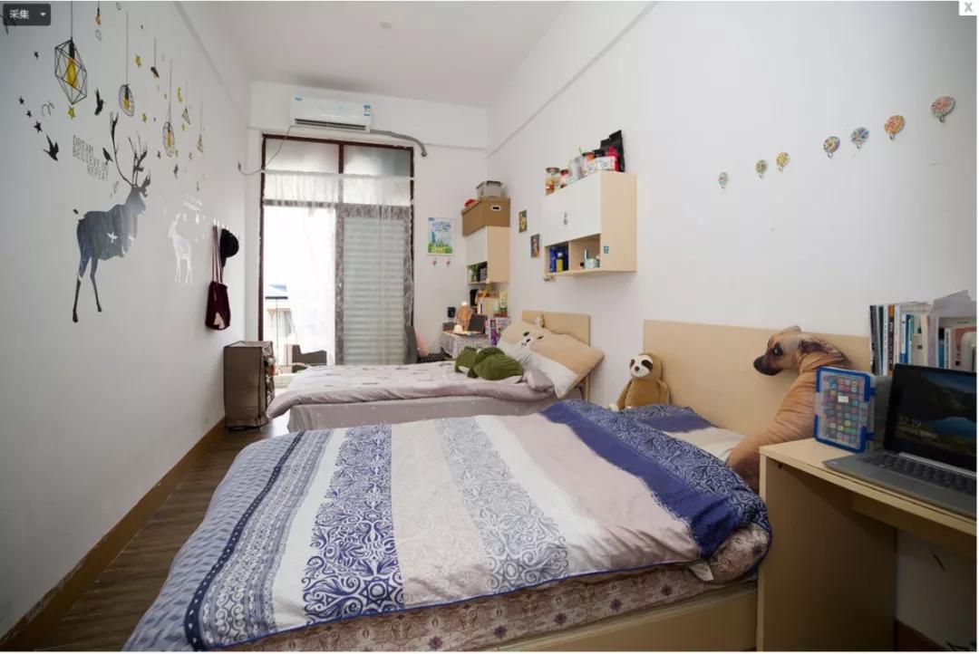 大学宿舍5人间哪个最好,《大学》宿舍对比