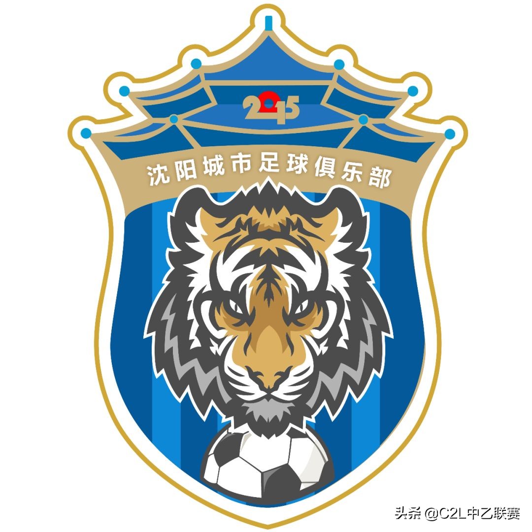 2018年32强足球队队徽,2016中乙队徽