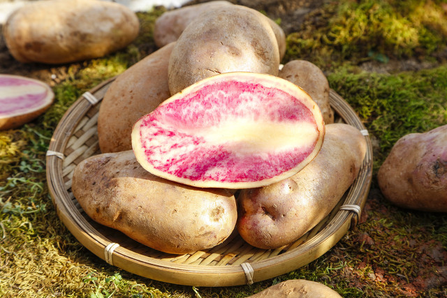 哈尔滨社区团购系统,哈尔滨有社区团购配送吗