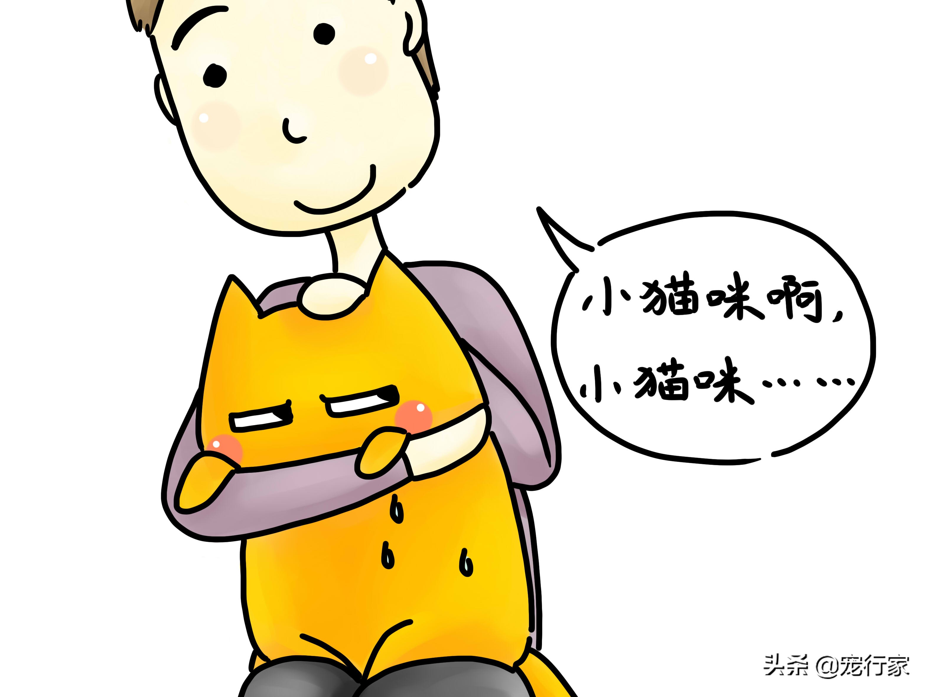 如何照顾耳聋的猫咪,如何照顾耳聋的猫