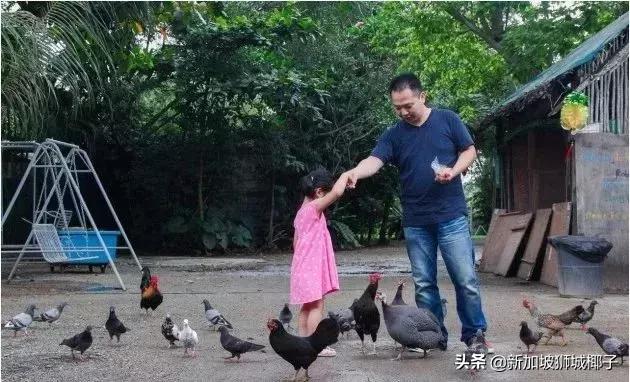 在新加坡有20个超赞的生日idea，让寿星感动到哭~