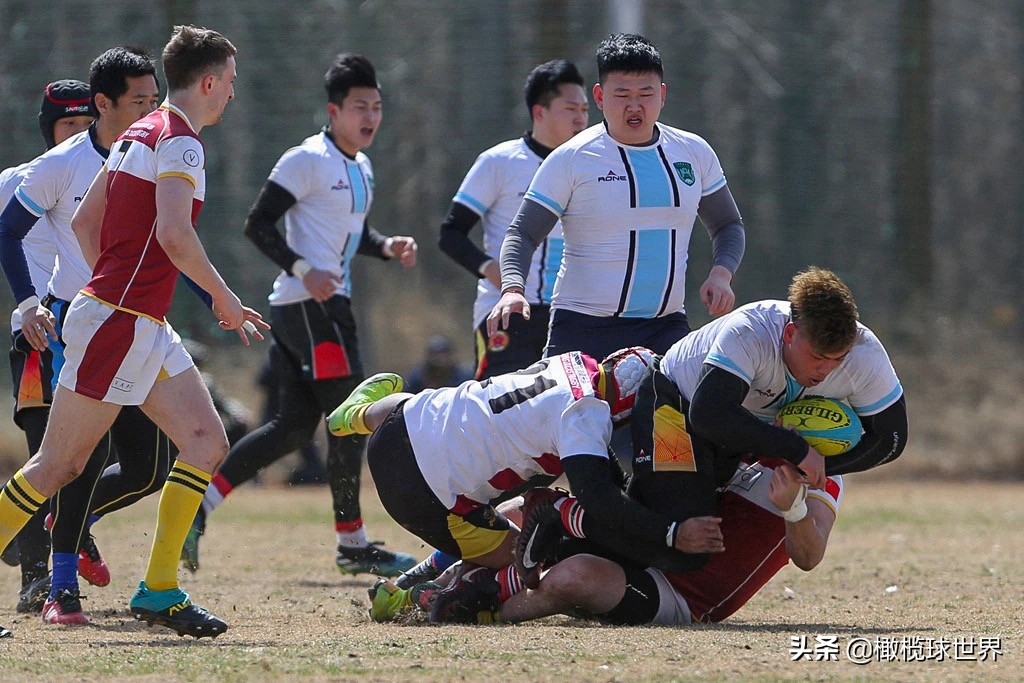 英式橄榄球今日赛程,2023年英式橄榄球中日韩青年比赛