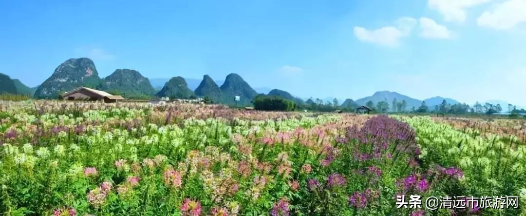 寒假亲子游推荐4-5天游,暑假亲子游玩地点推荐3天2夜