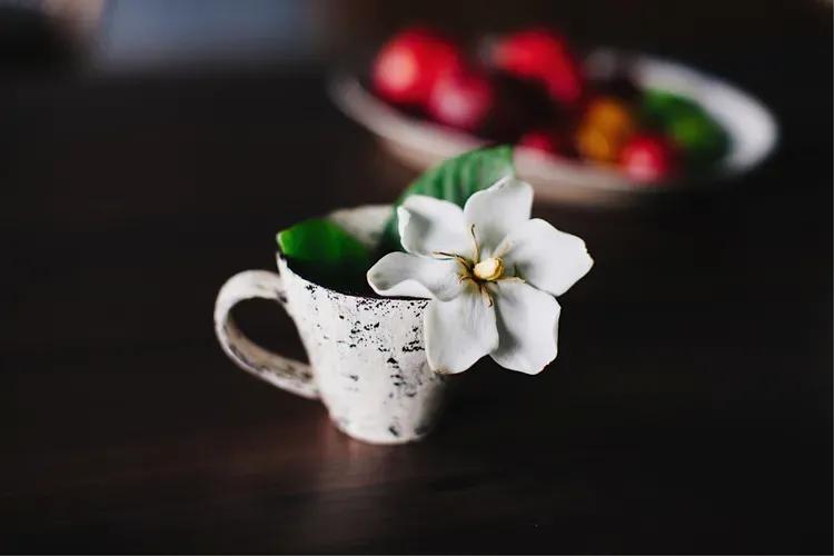 沄智教育:被“情绪”捆住啦