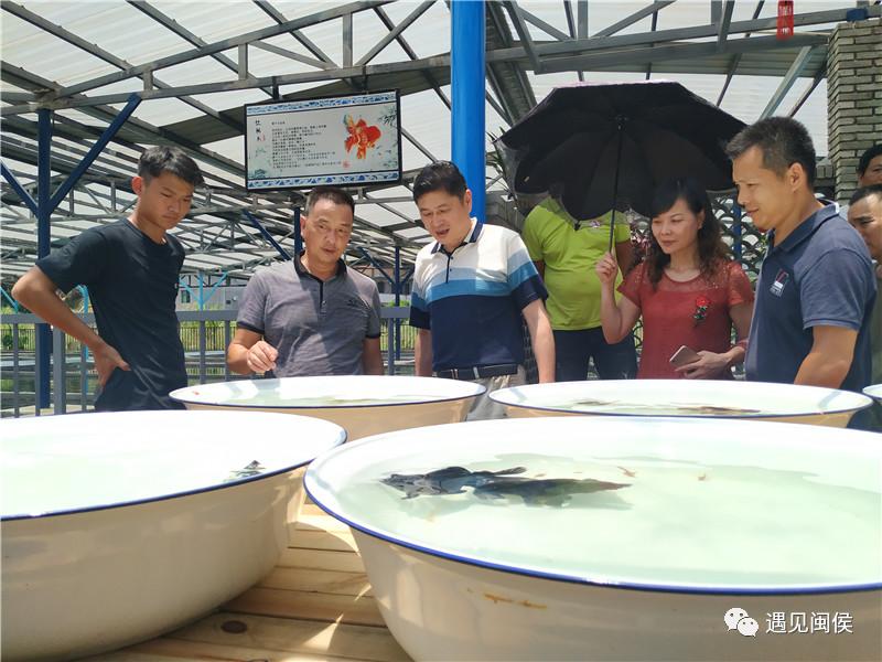 美得“惊动”中央媒体？说的是闽侯这个招牌