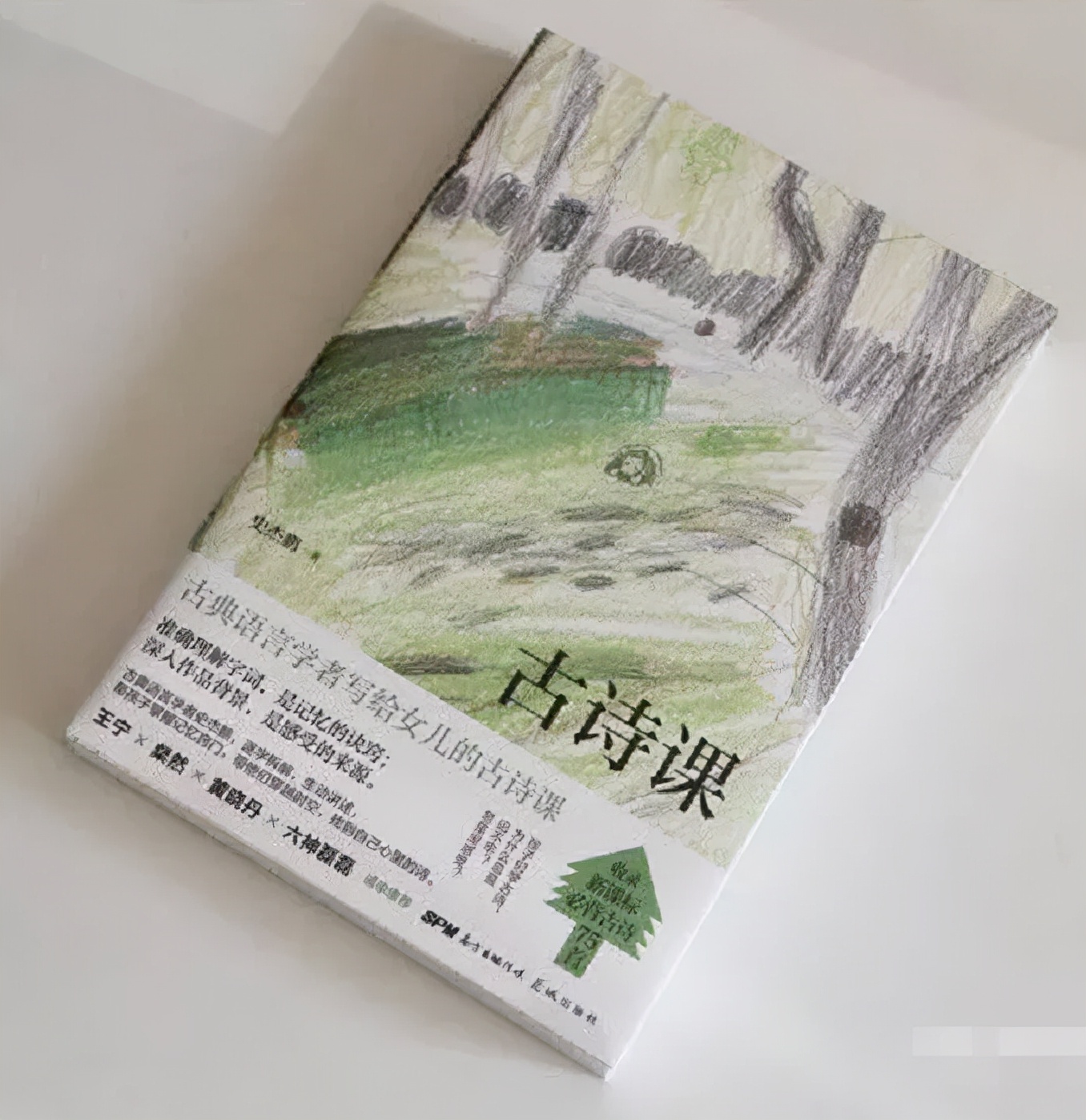 果妈测评｜一口气测评了40多本古诗词启蒙书，上榜单的都是精华