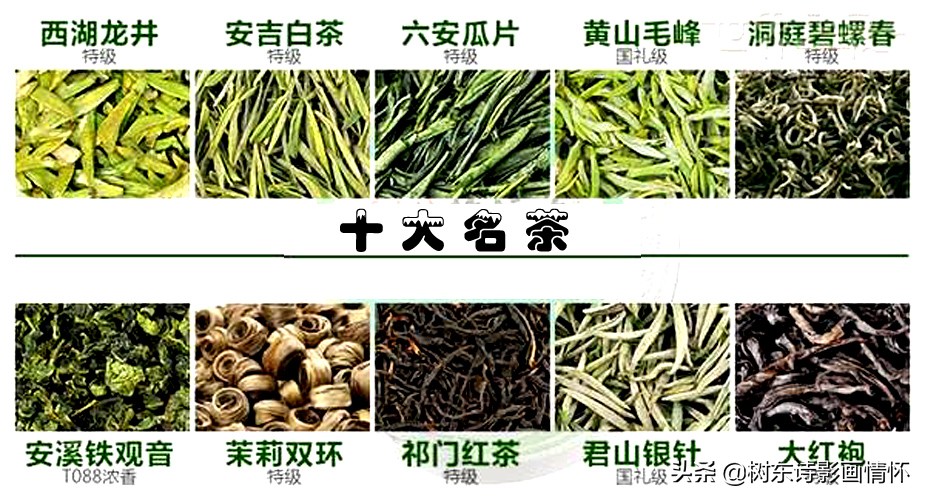 中国十大名茶有哪些最新,中国十大名酒名茶