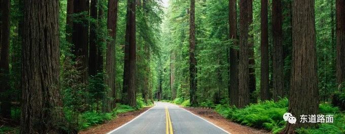 高速公路沥青路面材料选择与性能,沥青路面用聚合物纤维