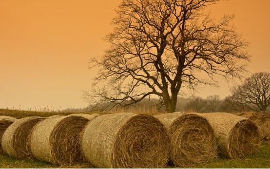 利润很吓人的农村冷门创业项目,利润很吓人10个冷门农村创业项目