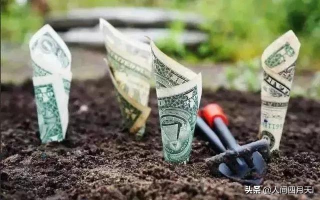 盘点五大骗局,各种币的骗局