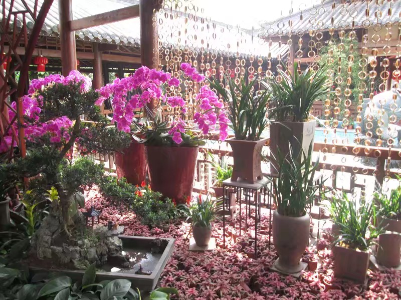 广西南宁青秀山游记,20年前南宁青秀山景点对比图