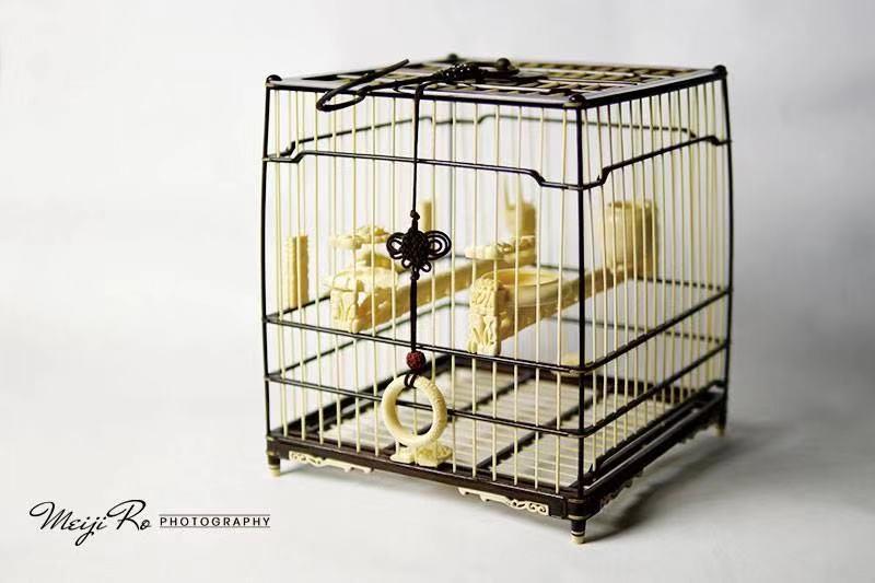 捉小鸟的鸟笼制作视频,铁鸟笼制作方法全过程视频