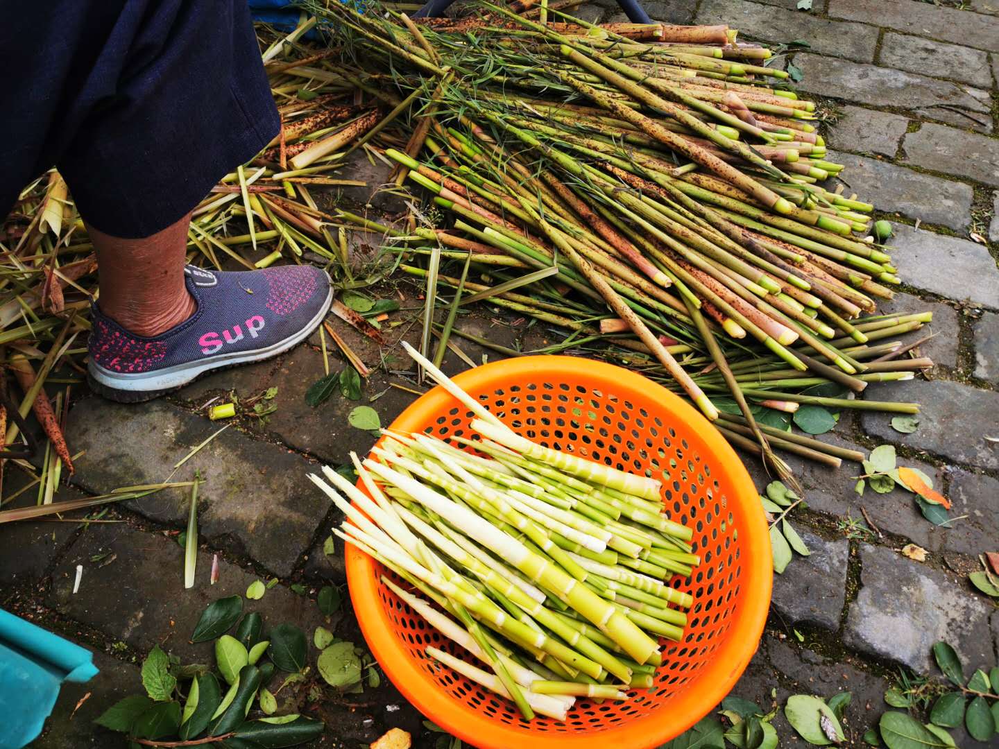 从化溪头村周边2日游最佳路线,从化溪头村游玩攻略11月