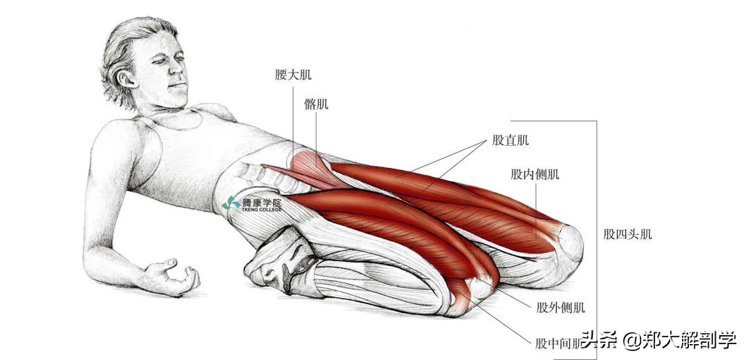 老年人蹲不下怎样锻炼,老年人蹲不下去了怎么办