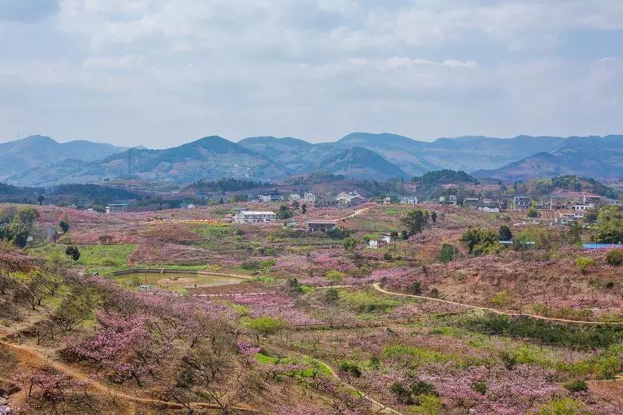 自驾旅游沿着g30高速公路看风景,沿g318去拉萨一路海拔