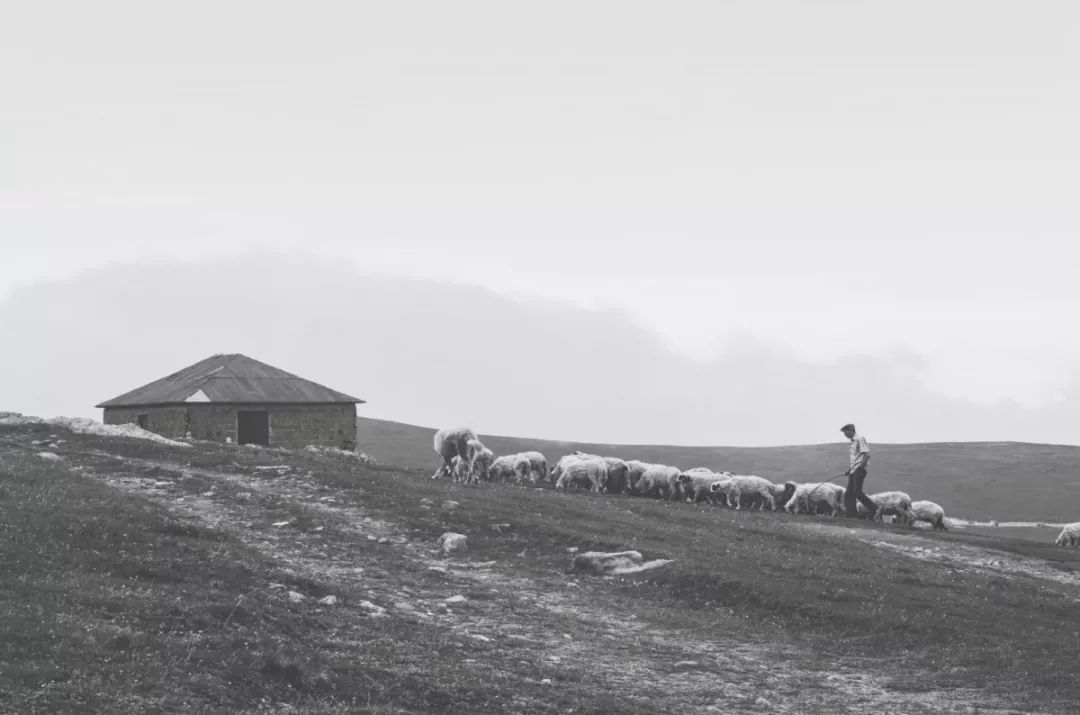 VSCO滤镜介绍,vsco对镜拍照滤镜调色教程