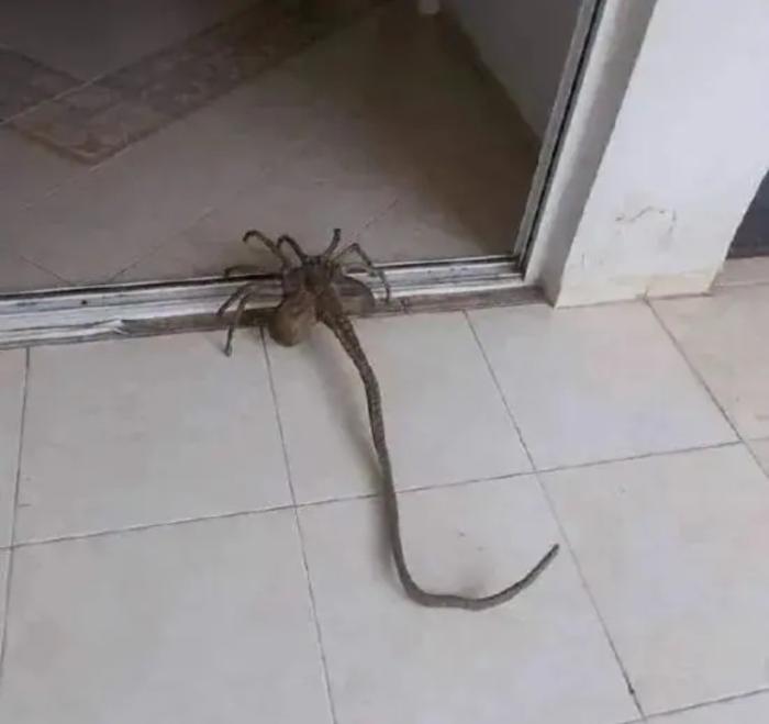 男生们喜欢什么,男生都喜欢什么样的男生