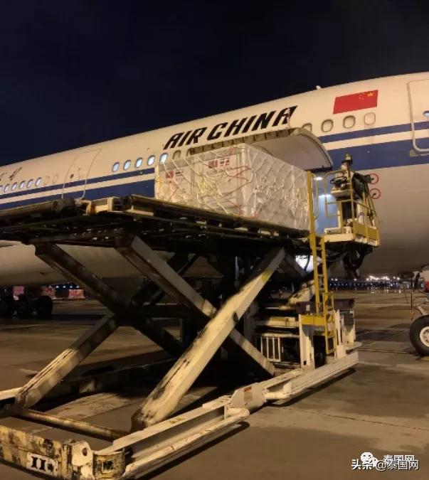 普吉五千多阳性！当局：为了百亿旅业创收，患者自己在家隔离就好