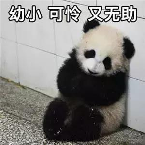 青岛房降价,青岛房源降价4万元