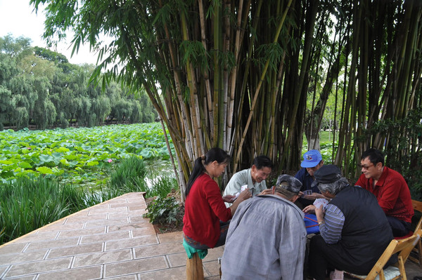 翡翠湖翠湖,昆明春城翠湖