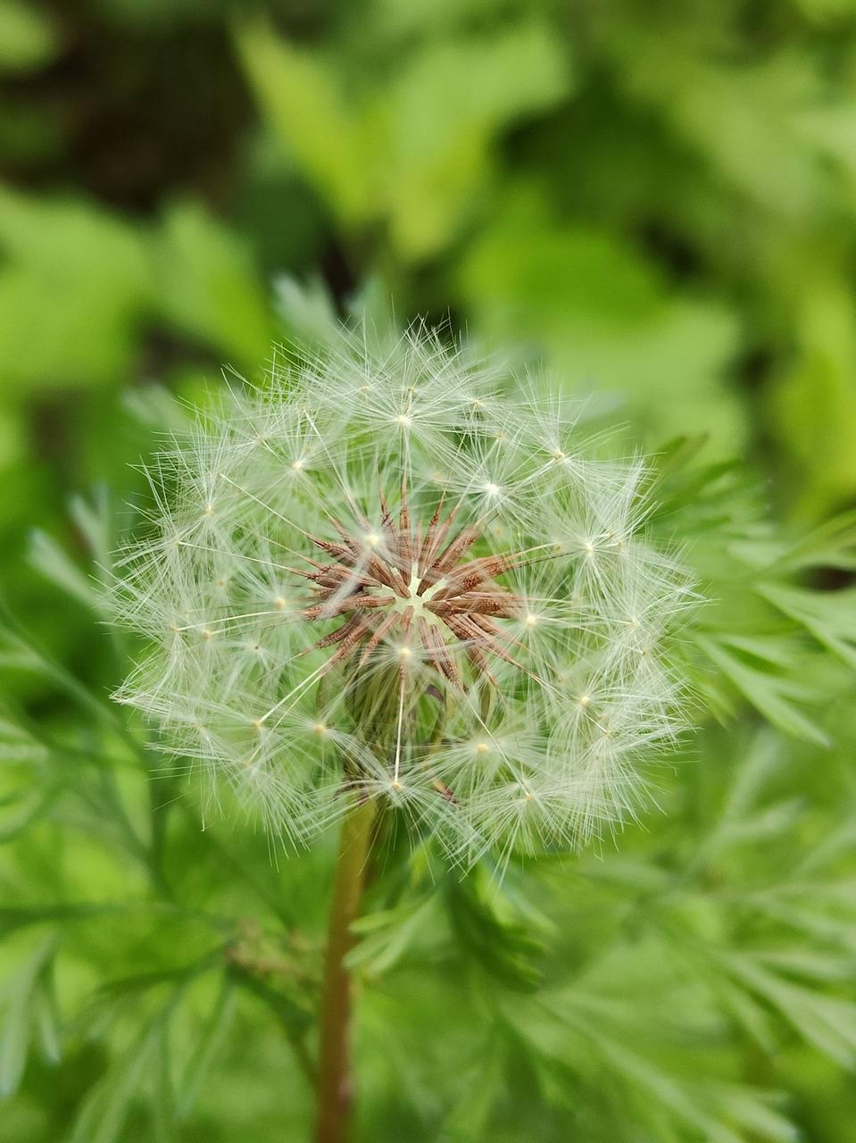 电竞专业打游戏就业前景,打电竞所承受压力
