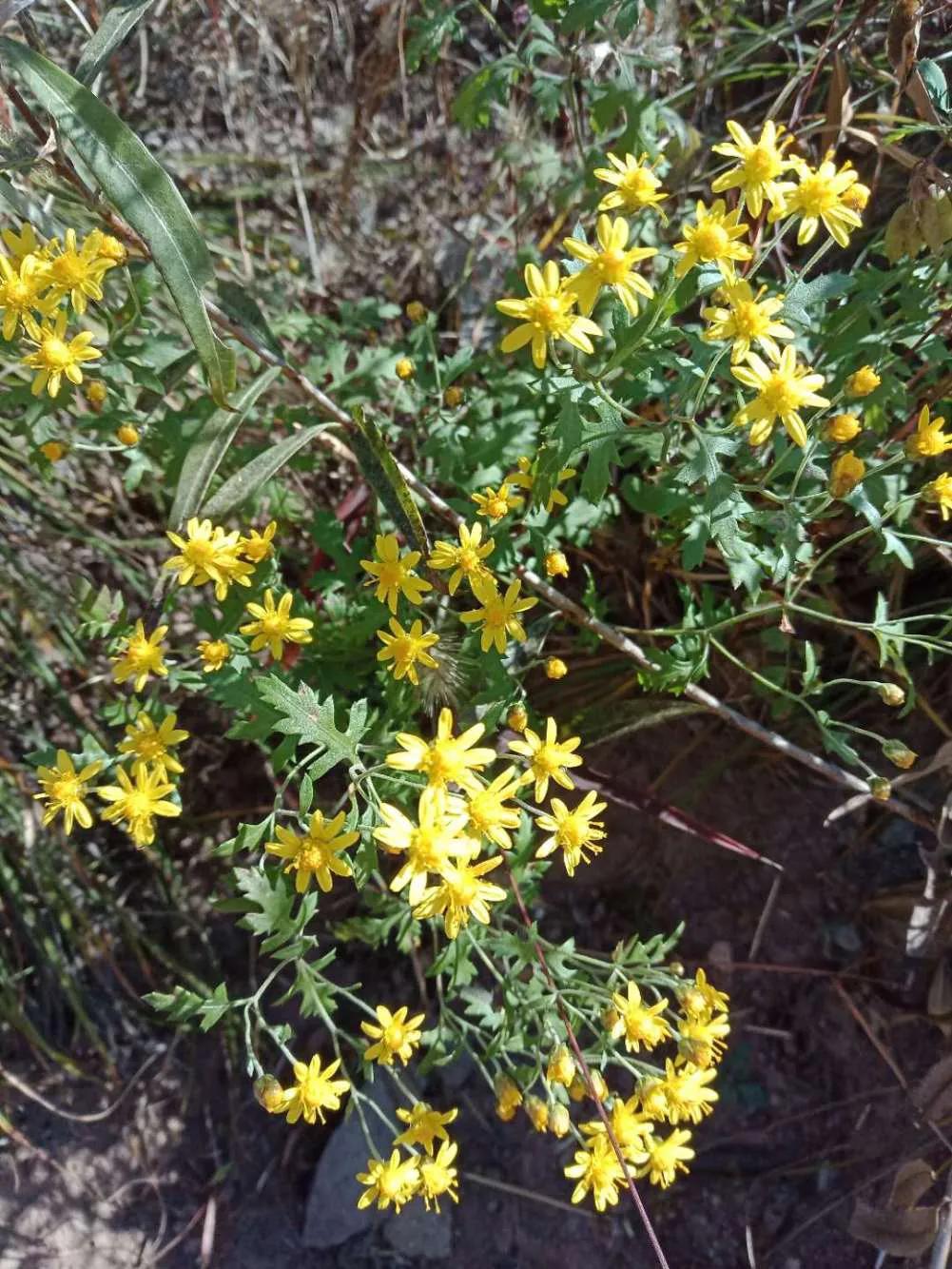 碧岩龙泉山庄,万柏林龙泉山庄