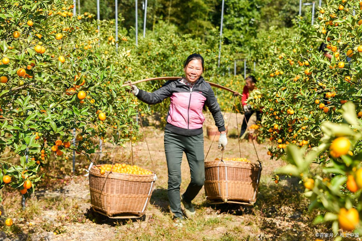一年级《秋天》怎样引导读对轻声与变调？学会才能辅导